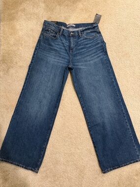 Joe's Low Rise Wide Leg Jeans